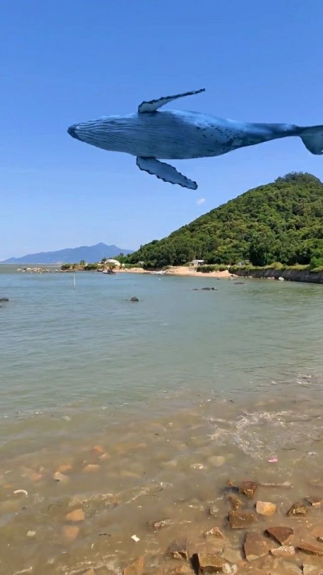 鲸鱼飞上天了,这场景实在是太壮观了