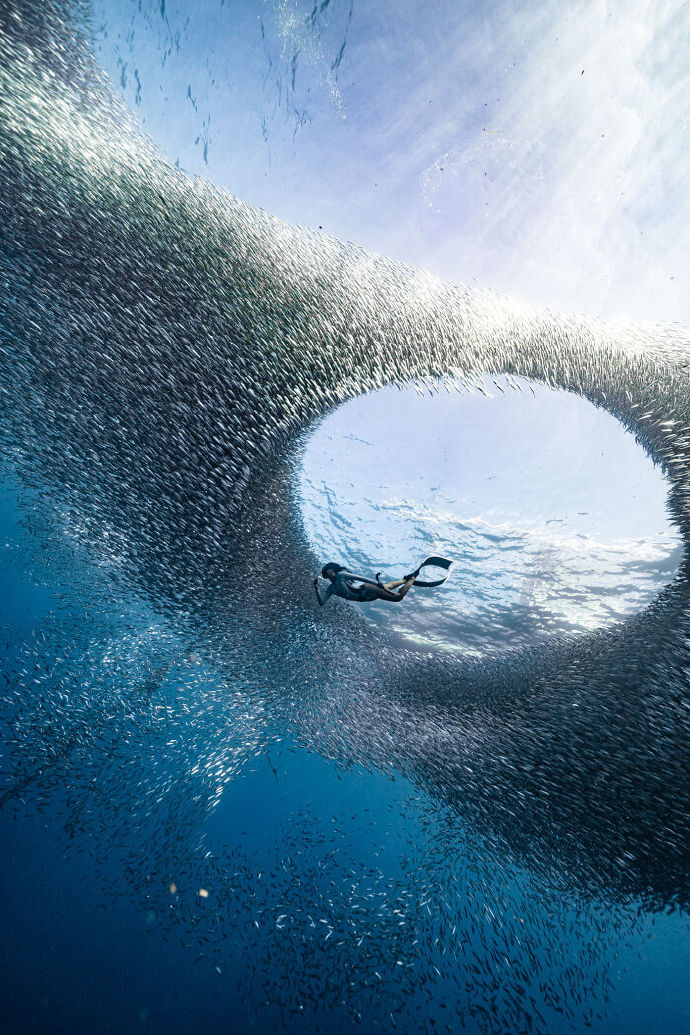 2023 年国际摄影奖 (ipa) 获奖作品.