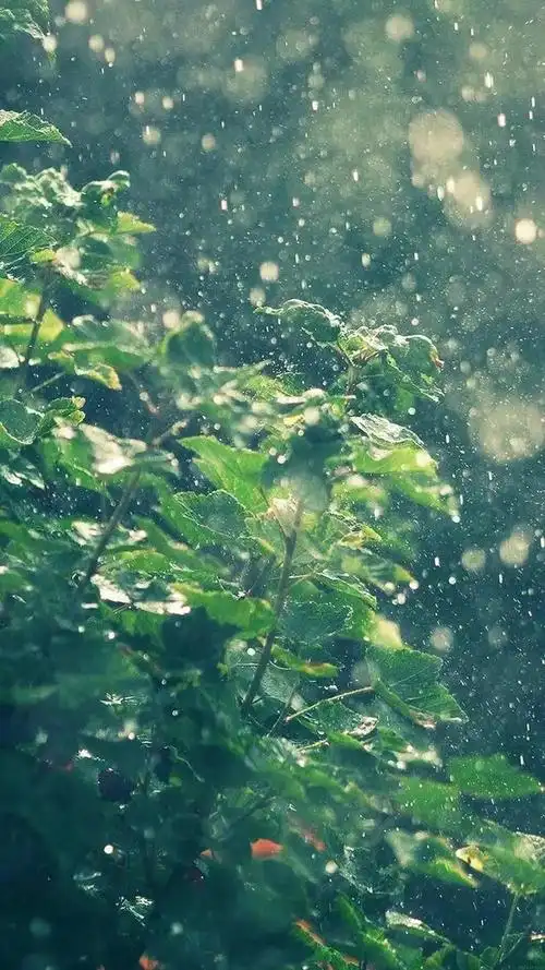 下雨的有意境的短句子发朋友圈,唯美雨天意境壁纸 - 冷求网