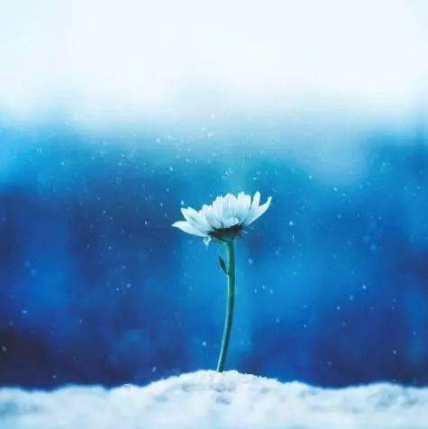 67人生留一半清醒留一半醉