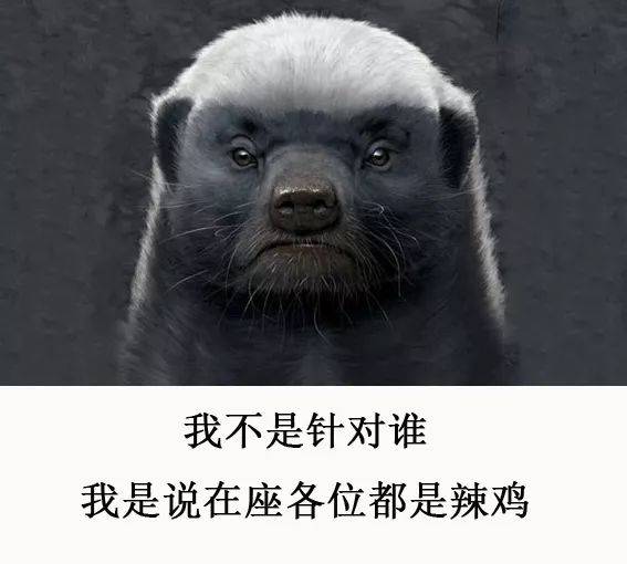 世界上最无所畏惧的动物平头哥(世界上最无所畏惧的动物被称为平头哥