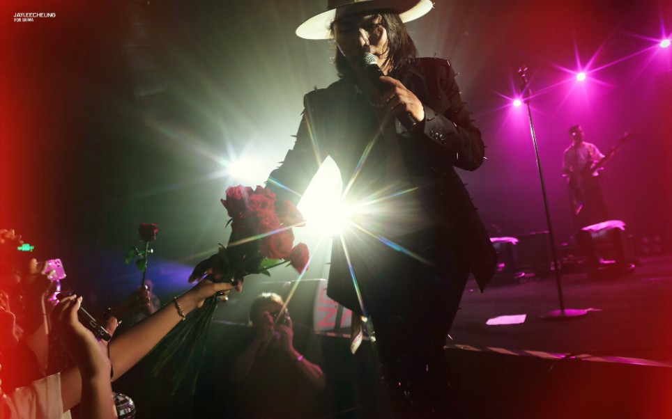 【木马乐队】谢强和他的玫瑰花