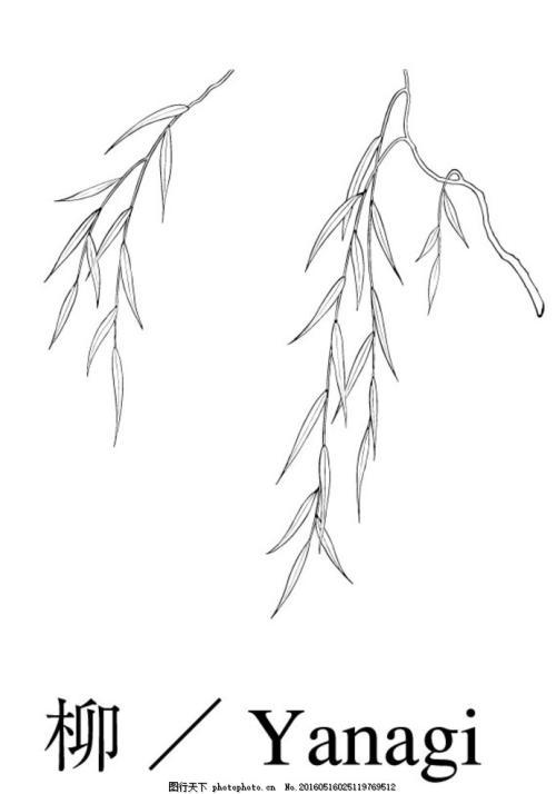 河边柳树简笔画水墨