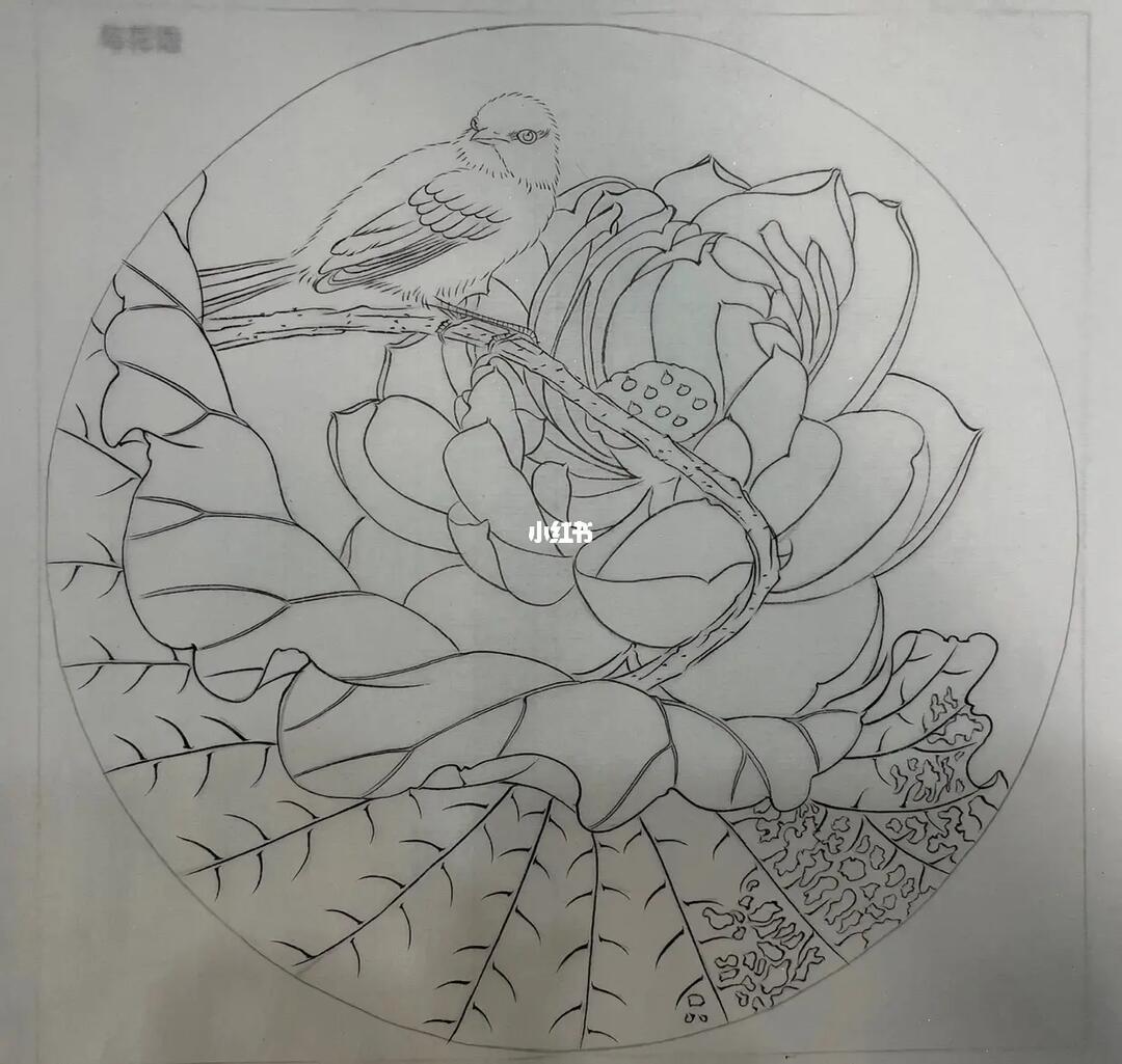 工笔画勾线好难哦