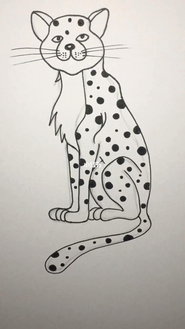 每日一画线描一只豹子