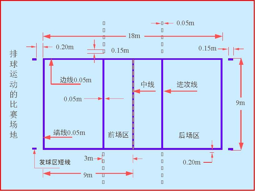 看不懂女排比赛?轮次和站位又是啥?对美国女排比赛当案例