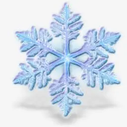 漂亮的雪花图标