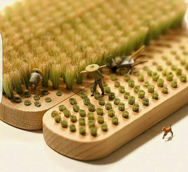 精美趣图分享|趣图_新浪新闻