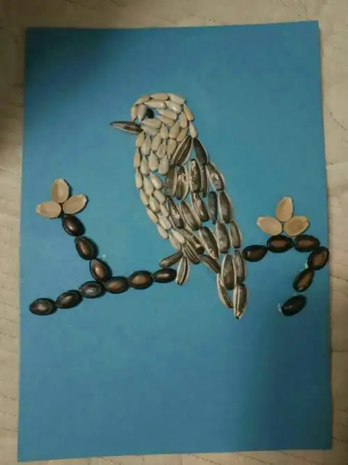 【彩泥 * 瓜子贴画】二课社团活动展 三年级