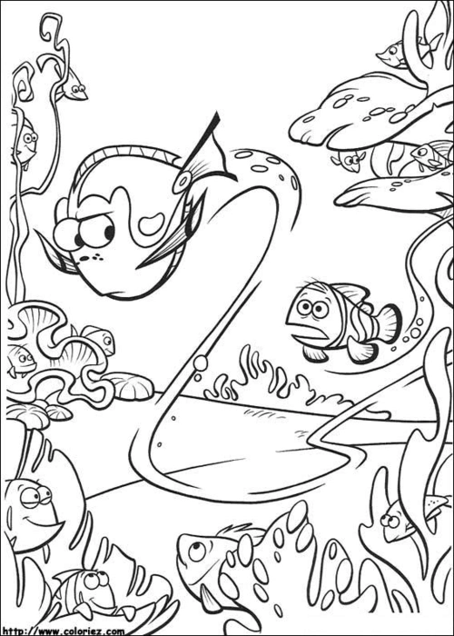 【育儿教育】超可爱海底总动员小丑鱼尼莫涂色本填色本