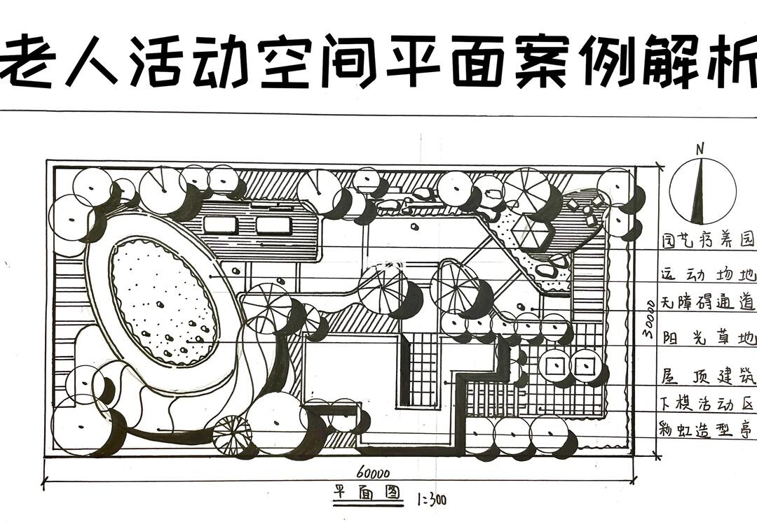 老人活动空间平面案例/屋顶花园平面案例解析1:300 30x60米7415