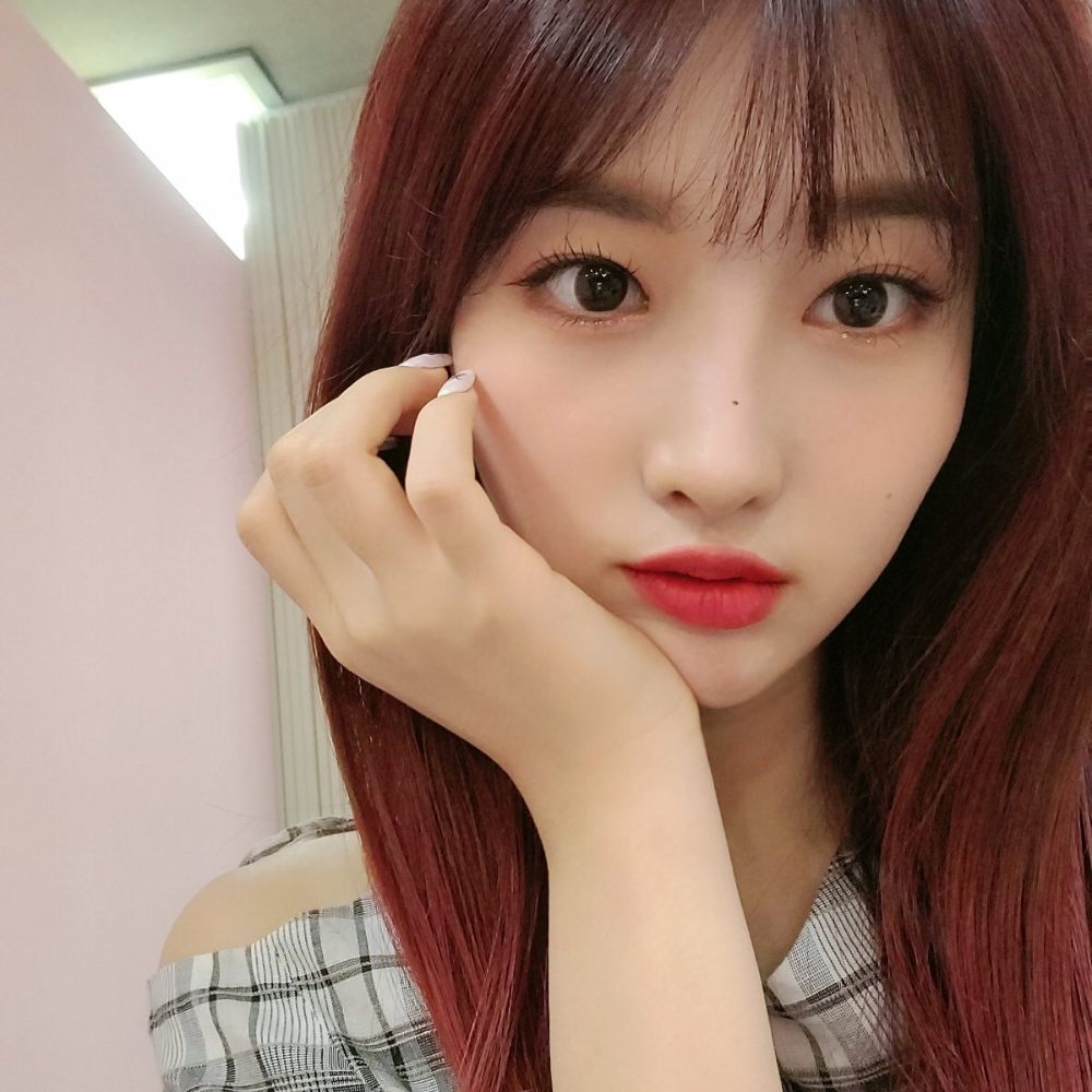 头像everglow金施贤合集