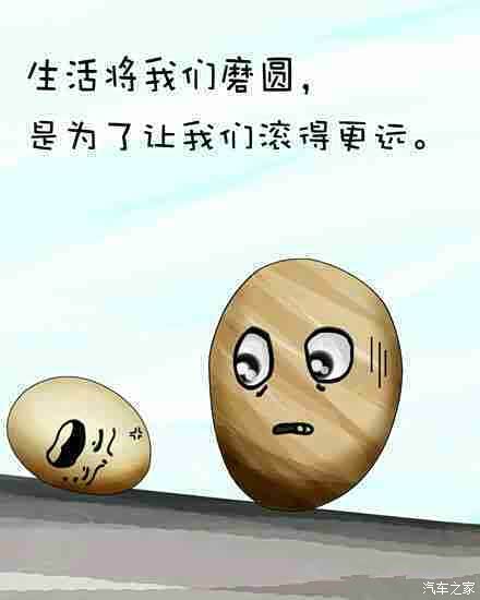 【图】好事多磨,名志图远,小三作业!_名图论坛_汽车之家论坛