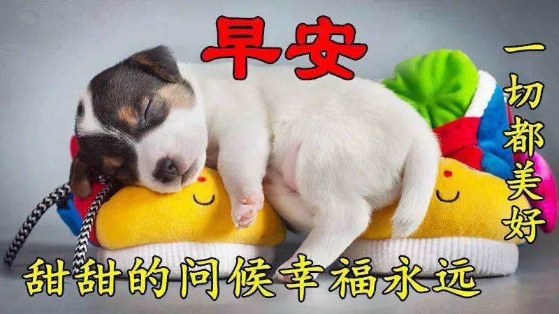 2020早上好图片动态 最美早安问候语动态图片