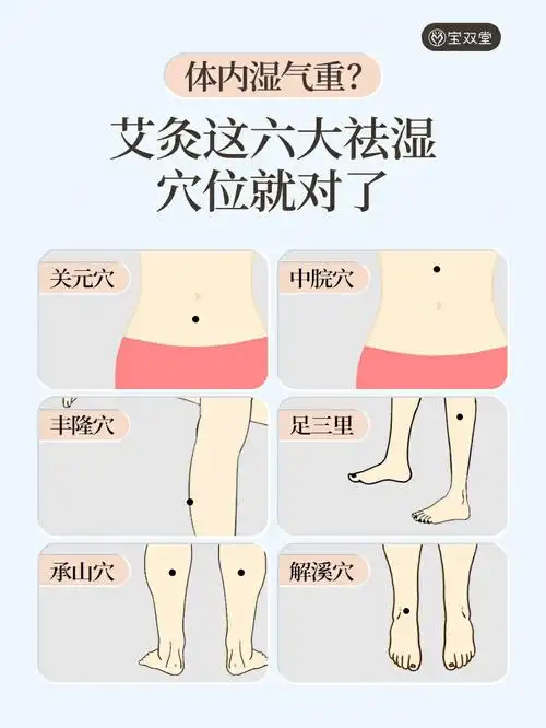 体内湿气重艾灸这六大祛湿穴位就对了60