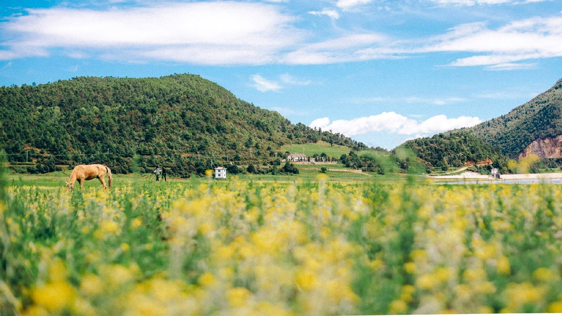 清爽夏日风景图片桌面壁纸高清大图预览1920x1080_风景壁纸下载_美桌