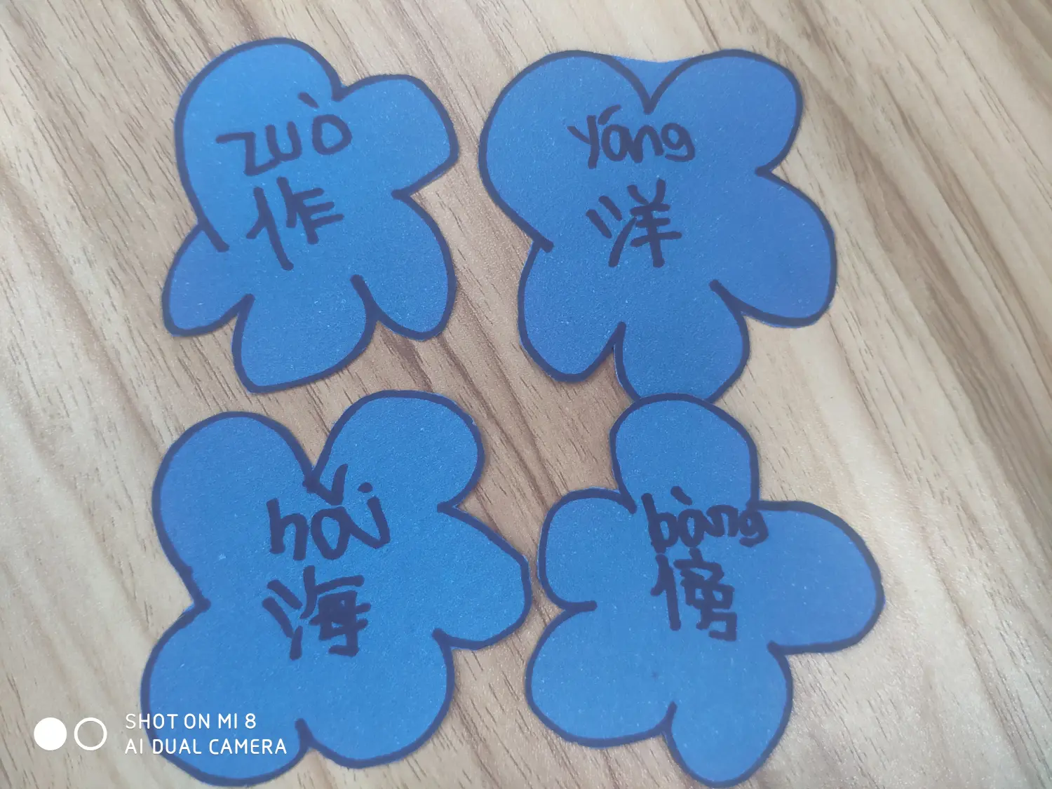 我们自己做的生字卡片