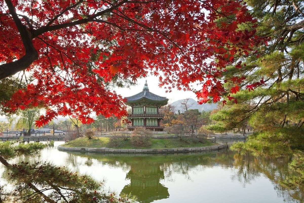 云赏韩国风情独具魅力的潮流之地