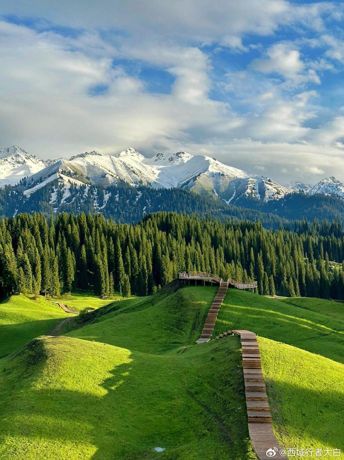 壁纸 草原 桌面 690_921 竖版 竖屏 手机