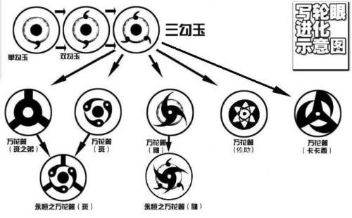 火影忍者中佐助把鼬的万花筒写轮眼得为己用吗?