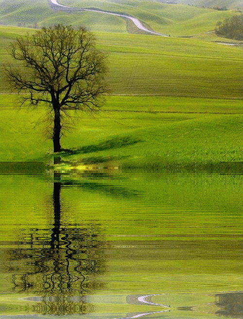 唯美的诗行春来百花绽放寻觅心怡的那缕芬芳种植在希望的田野上来年便