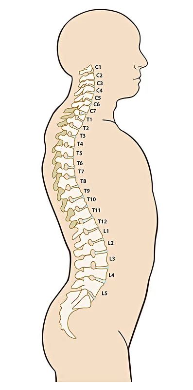 保健操|腰椎病|神经根|椎间盘|颈椎病|保护|-健康界
