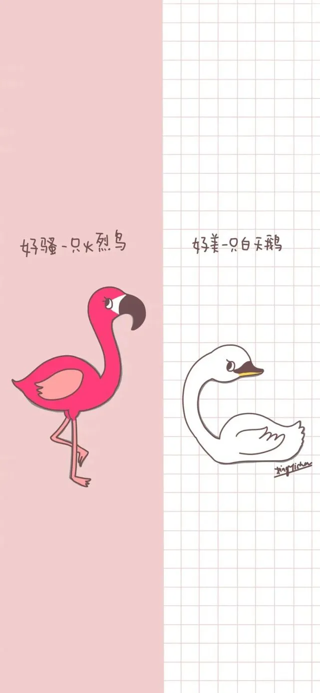 聊天背景简单分割线