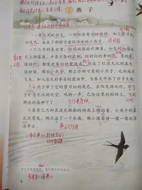 三年级下册语文2燕子笔记