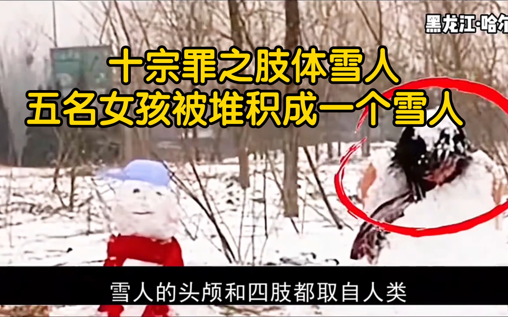 十宗罪之肢体雪人,五名女孩被堆积成一个雪人 【哈尔滨雪人案】【犯罪