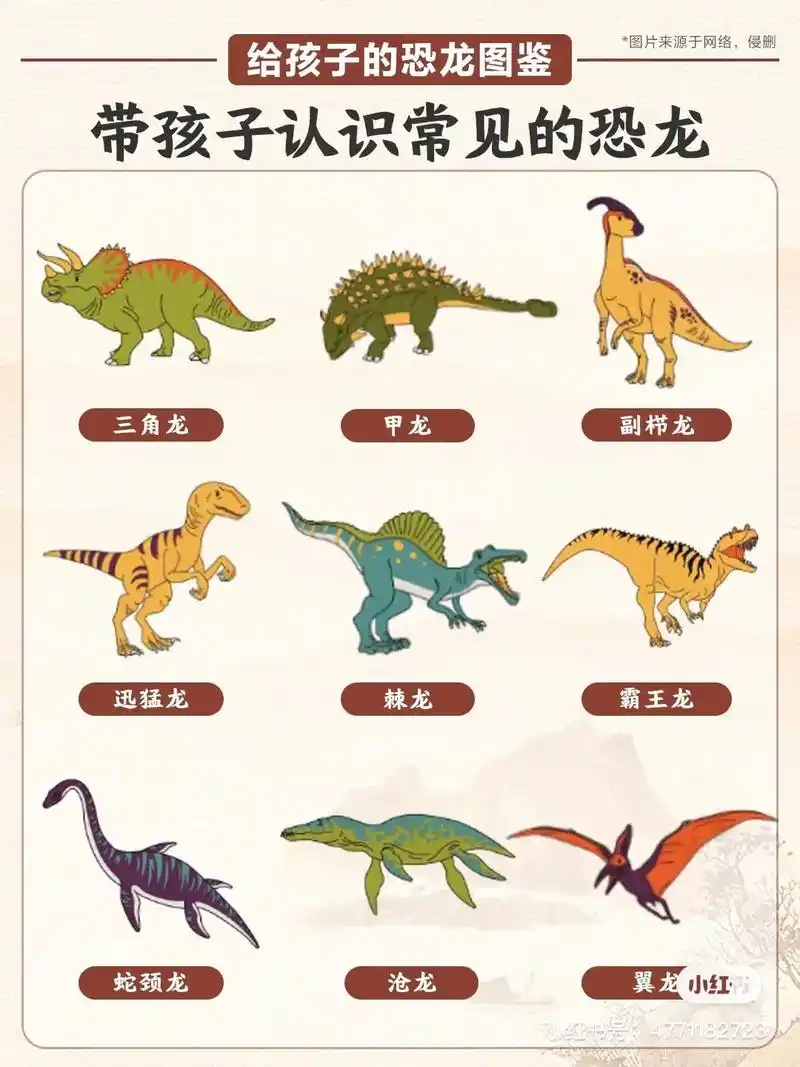 图文掘金计划 #恐龙 - 抖音