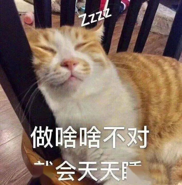 搞笑沙雕表情包i我非常以及特别的愤怒