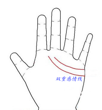 双重感情线图解