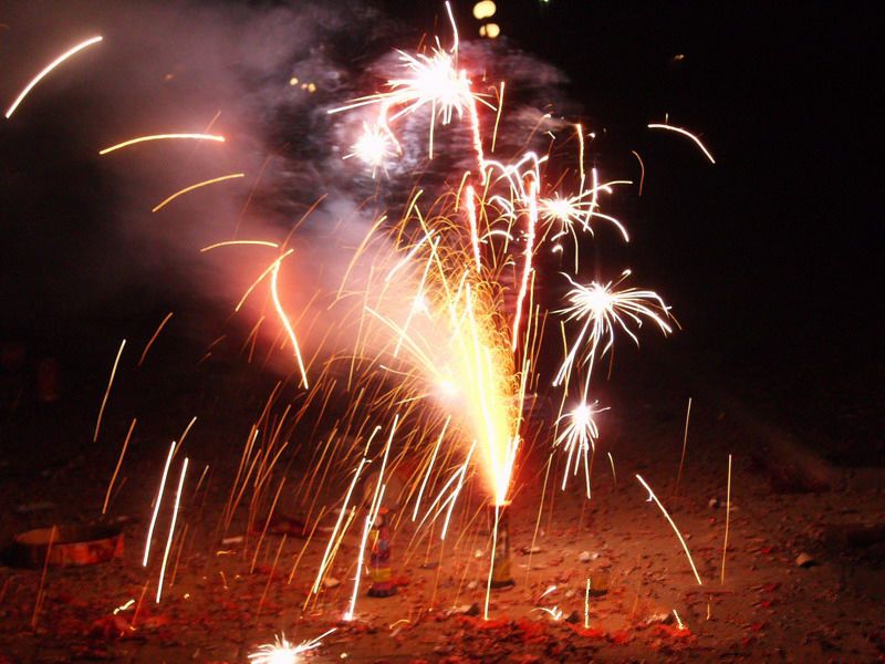 天南地北谈年味|地大人关于过年的一切