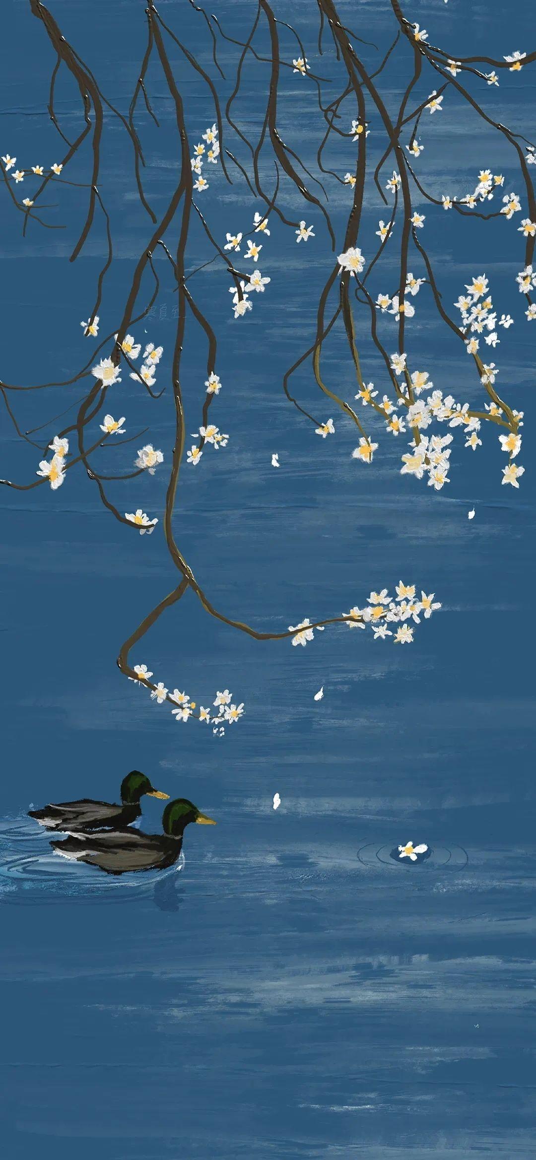 有没有超好看手机壁纸,压箱底的那种? - 知乎