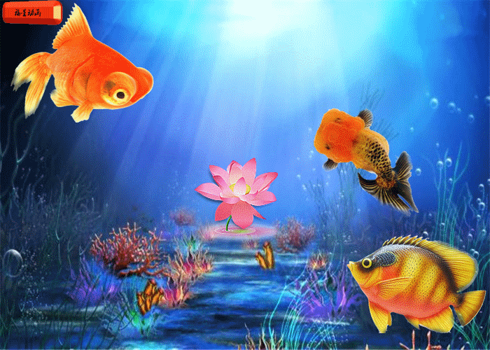 700_500gif 动态图 动图