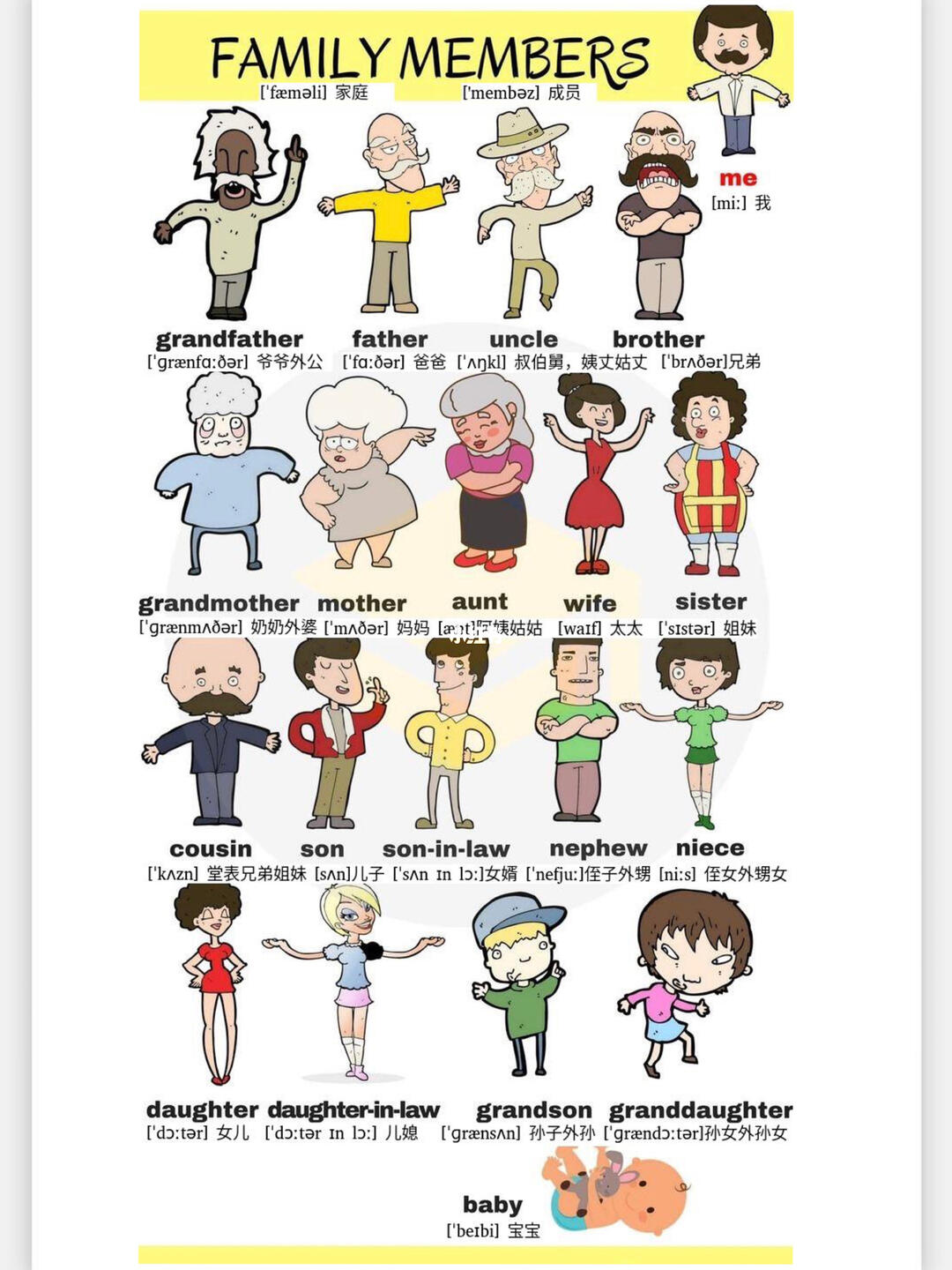 家庭成员英语/family!