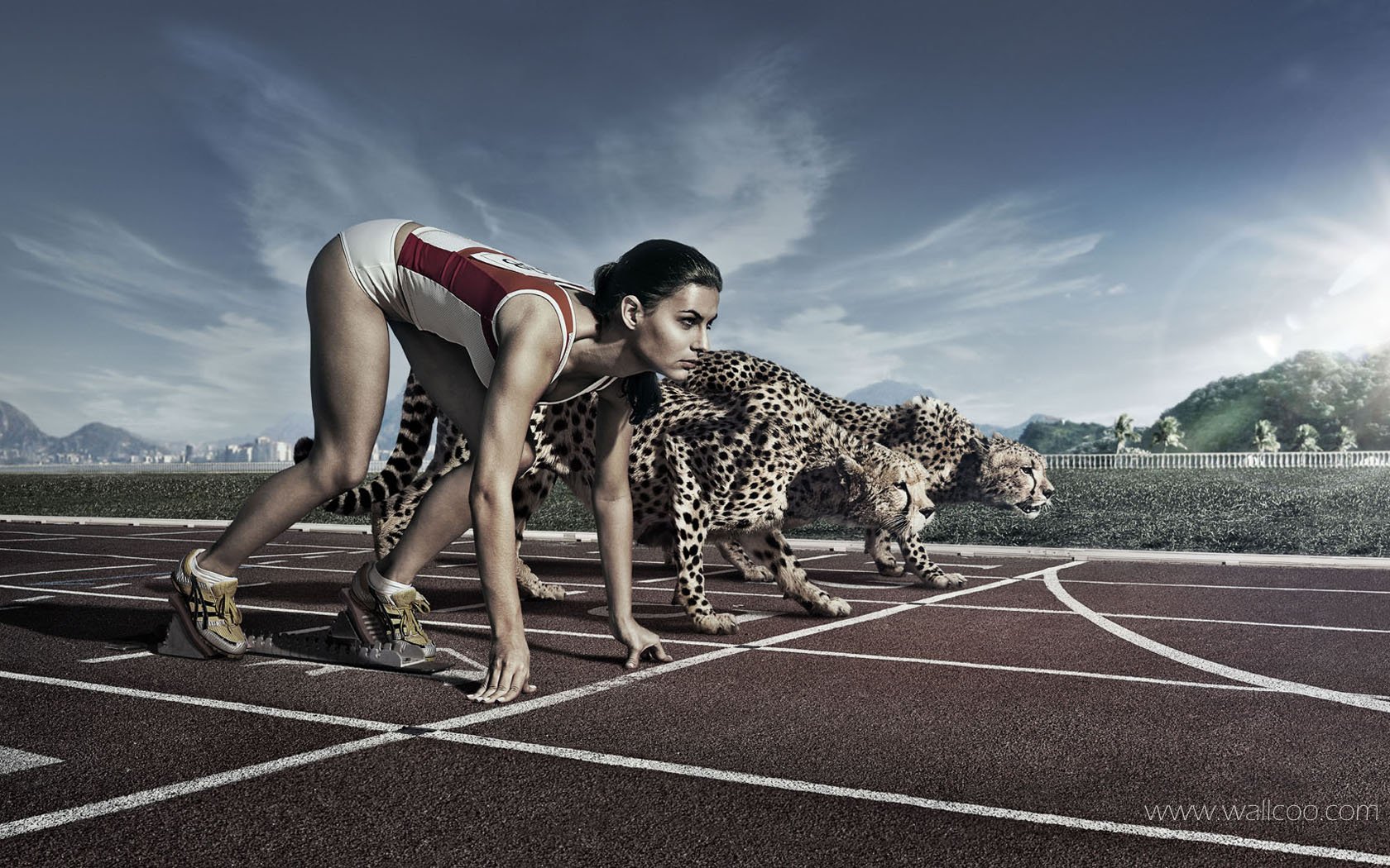 创意无限 - platinum 广告创意