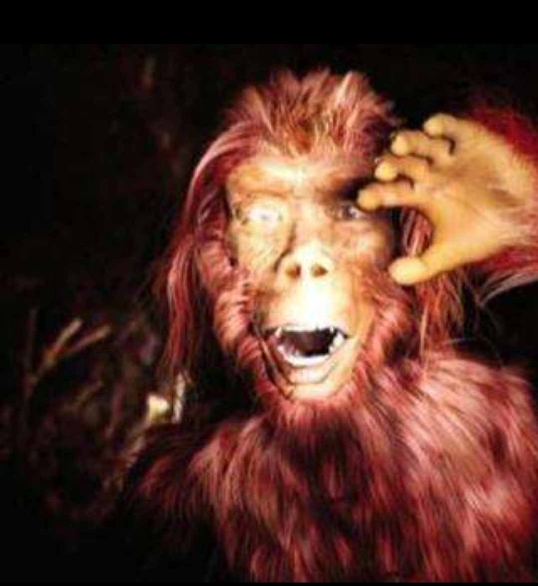 你小时候听老人讲过"红毛野人"的故事吗?且看我的版本