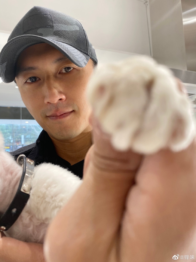 谢霆锋化身猫奴抱爱宠上班画面温馨戴鸭舌帽五官硬朗超帅气