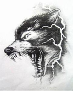 狼头滴血微信头像大图 滴血狼头微信头像