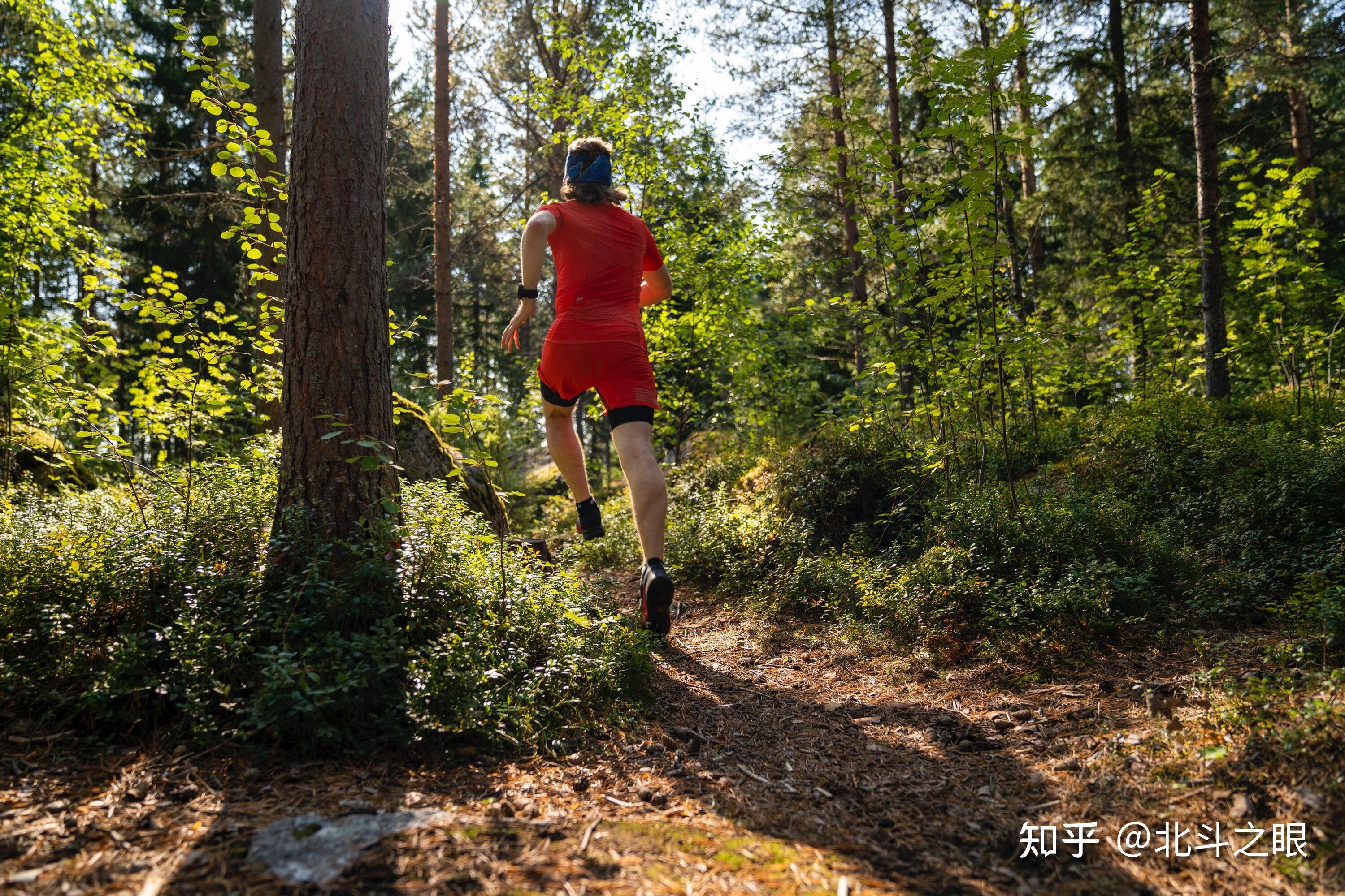 定向越野成功办赛要做好这六个关键点上