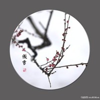 傲雪寒梅微信头像_微信头像图片大全