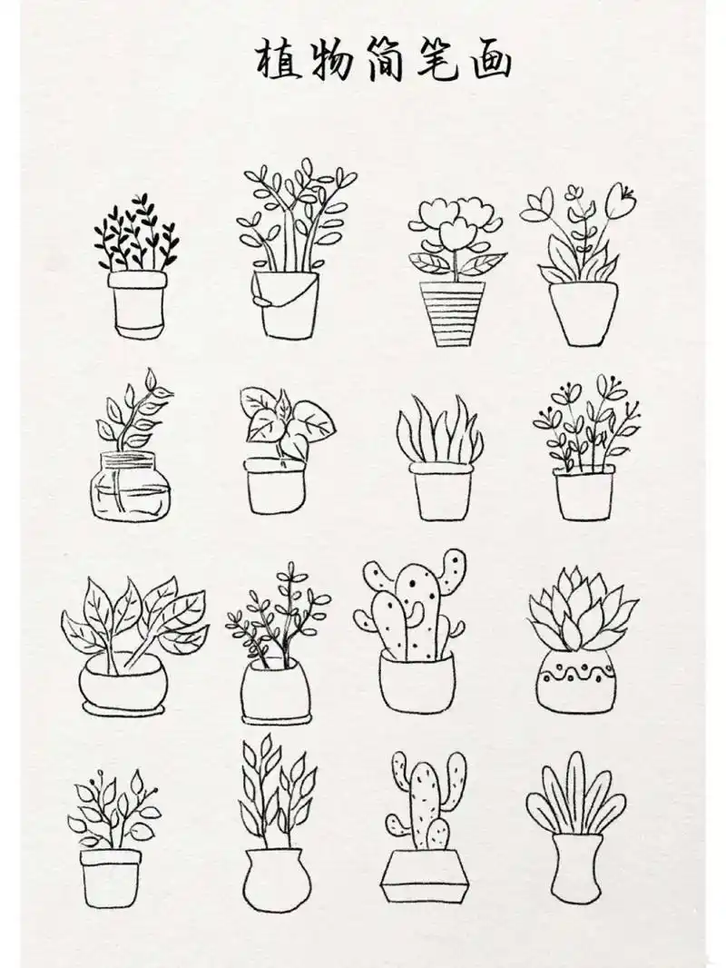 植物简笔画 花卉简笔画.#图文伙伴计划 #简笔画 #儿童简笔 - 抖音