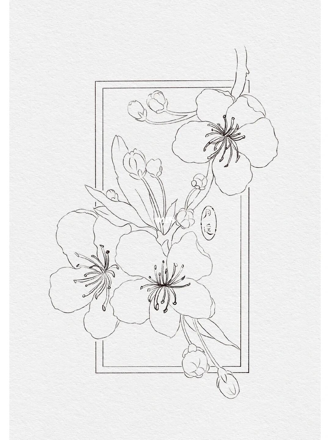 前天学习的桃花,先记录,等国庆后老师评讲#procreate绘画  #古风插画