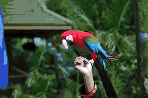 480_319gif 动态图 动图