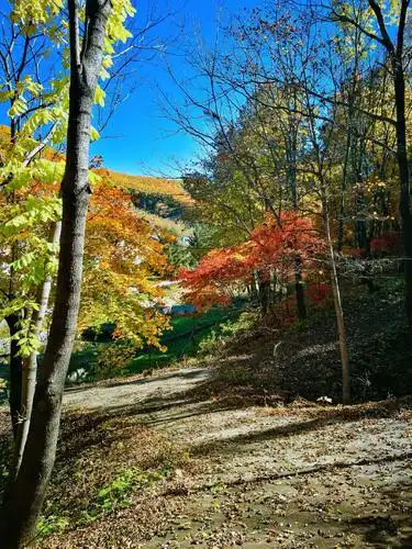 静静的山林秋色