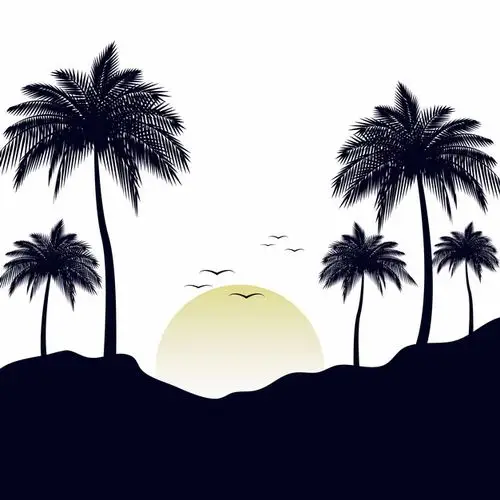 夕阳下的椰子树和飞鸟剪影114137png图片素材