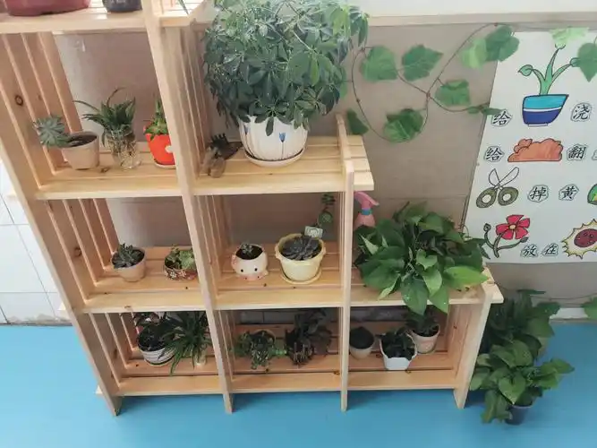 雪枫学校幼儿园"小角落大智慧"——植物角研讨活动