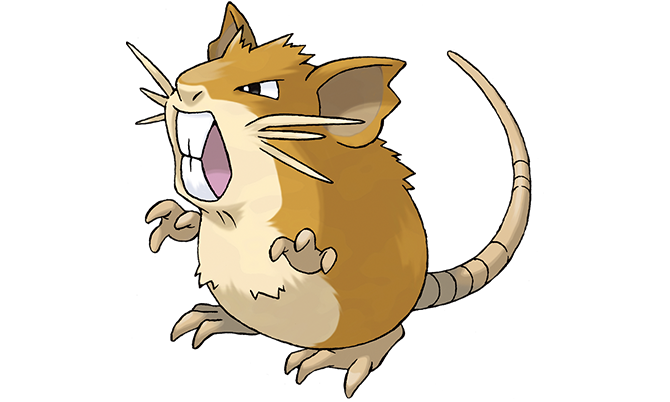 能在阿罗拉地区看见的拉达宝可梦的进化小拉达拉达