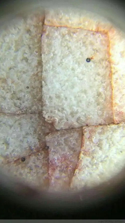 刘进武:北宋官窑黄釉樽承盘微观痕迹鉴定凭证(wj)